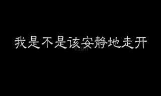 我是不是安静走开歌词 关于我是不是安静走开的歌词