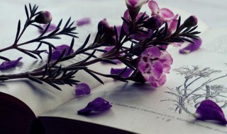 俗气是什么意思 俗气解释