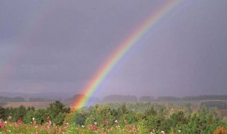 花太阳彩虹你歌词 花太阳彩虹你歌曲介绍