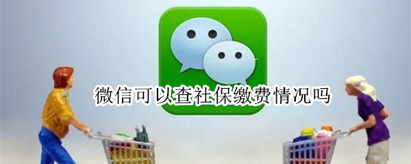 微信可以查社保缴费情况吗（微信可不可以查社保总缴费情况?）