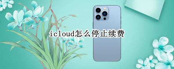 icloud怎么停止续费 怎么停掉icloud续费