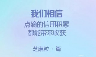 支付宝芝麻粒有什么用 怎么获取支付宝芝麻粒