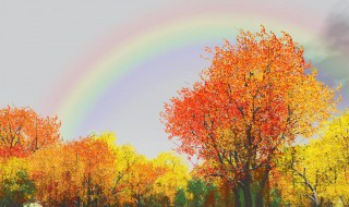 秋天的景色日记 日记是怎么写的