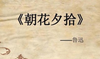 阿长与山海经读书笔记 关于阿长与山海经的读书笔记