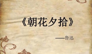 朝花夕拾无常读书笔记 关于朝花夕拾无常的读书笔记