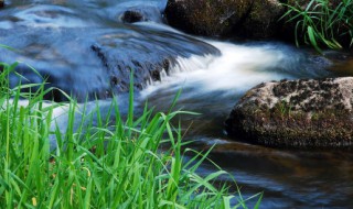 春天的四字词语有哪些 关于春天的词语简介