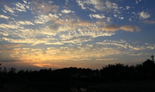 深秋的夜晚的说说心情 深秋的夜晚的说说心情有哪些