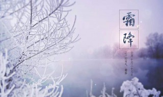 关于霜降的古诗 具体有哪些古诗