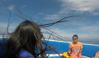 吹组词 吹组词精选