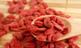 枸杞子如何泡酒 枸杞子泡酒方法