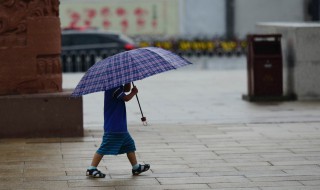 撑伞也是雨中人是什么梗 撑伞也是雨中人解释