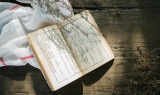 什么是竹枝词为什么叫它竹枝词 竹枝词的相关知识