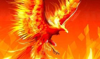 关于描写凤凰的优美词句 关于描写凤凰的词句推荐