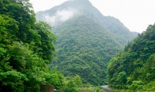 南川旅游景点大全 南川旅游十大景点