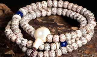 菩提出自哪里 菩提是什么