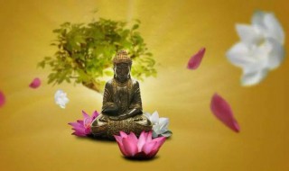 出离心与菩提心的意思 什么是出离心与菩提心