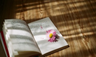 循循善诱什么意思 循循善诱的解析