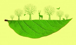 为什么要保护环境 自然环境是人类生存的基本条件