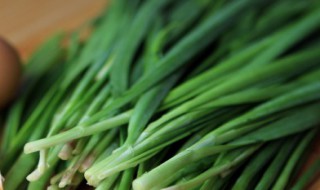 韭菜怎么吃 韭菜的做法