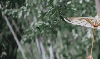 雨天文案短句干净 雨天文案短句干净有哪些