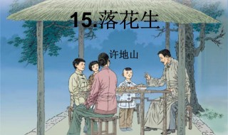 落花生告诉我们什么道理 落花生简介