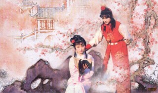 红楼梦读后感悟 红楼梦读后感范文