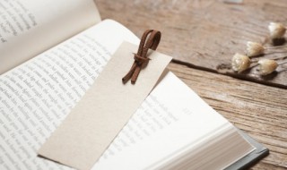 白鹅是运用什么写作手法 关于修辞手法的介绍