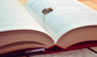 什么是三角锥形 三角锥形介绍