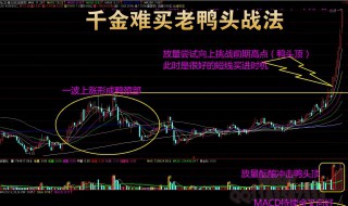 股票价格是什么意思 股票价格是什么的意思