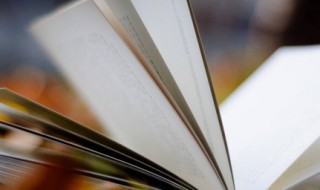 留可以组什么词语 留可以组哪些词语