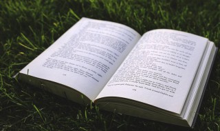 外资企业是什么意思 外资企业解释