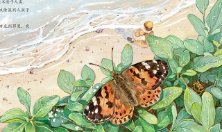 昆虫记故事梗概 昆虫记的主要内容是什么