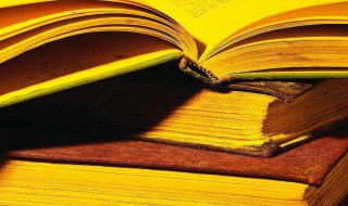 潜心关注是什么意思 潜心关注解释