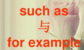 for example与such as的区别 不同英语词组的用法