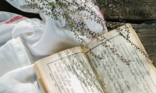 自什么自什么的成语 这类成语多吗