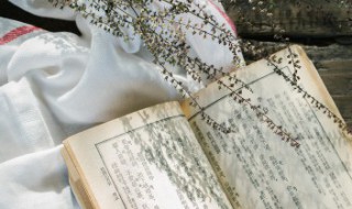 春日的意思古诗 古诗春日的意思简述