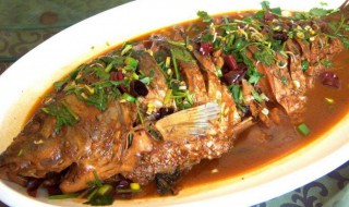 鲤鱼烹饪方法 红烧鲤鱼的做法