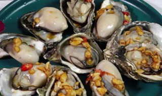 晒干的生蚝怎么做好吃 晒干的生蚝如何做