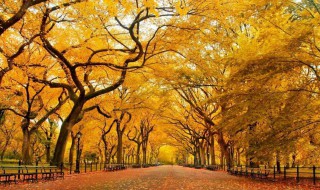 简短唯美的小诗 优美简短的小诗