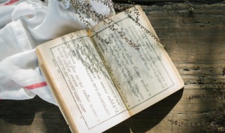 关于彼岸花的古风句子 关于彼岸花的古风句子列述