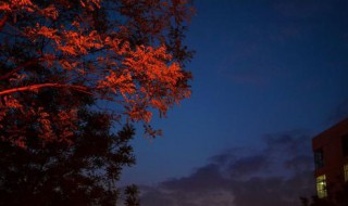 形容夜晚安静的句子 形容夜晚安静的句子精选