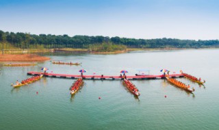 屈原是怎么死的 屈原为什么死