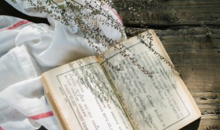 哥白尼提出的太阳中心说是什么 哥白尼提出的太阳中心说介绍