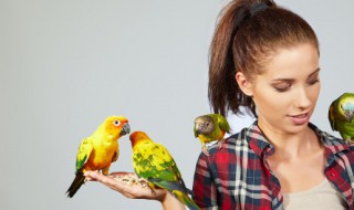 虎皮鹦鹉什么时候下蛋 虎皮鹦鹉多久下蛋