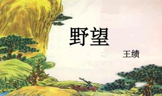 野望赏析 关于野望赏析