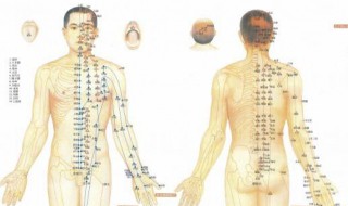 支正穴的作用 支正穴的位置以及按摩功效详解