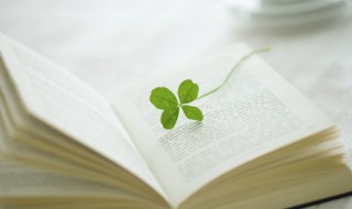 解落三秋叶能开二月花描写的什么自然现象 解落三秋叶能开二月花出自哪里