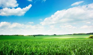 描写春天景色的句子短 关于描写春天的景色的短句