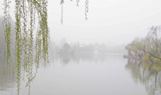 蒙蒙细雨唯美句子 蒙蒙细雨唯美句子推荐