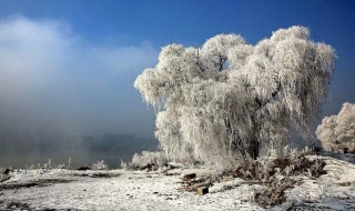 表示很冷又搞笑的句子 表示很冷又搞笑的句子列述